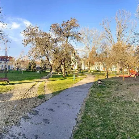 Lechner Mansion Apartmán Segedín