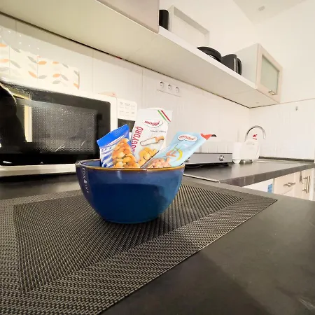 Lechner Mansion Apartmán Segedín