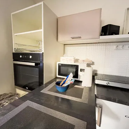 Lechner Mansion Appartement